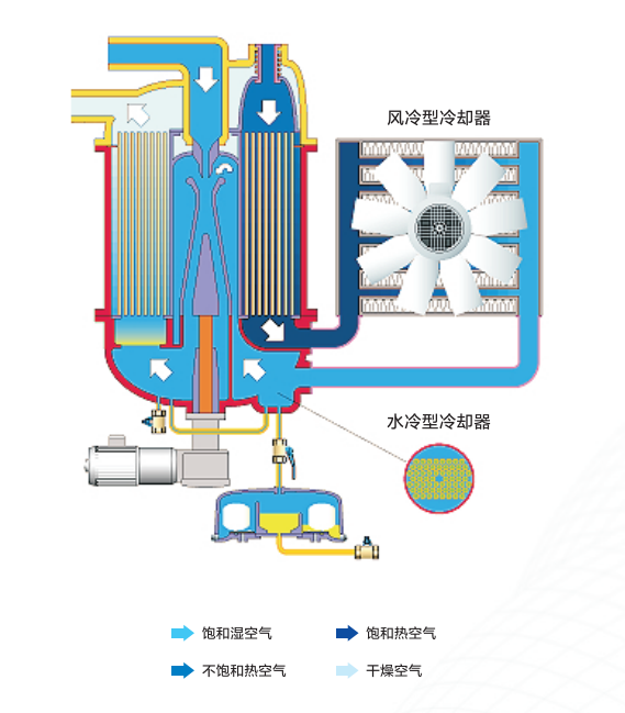 微信图片 2025 06 25 144302 656