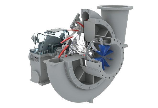 Volute